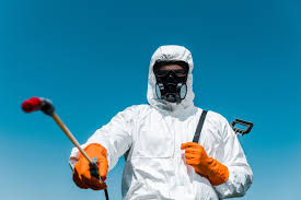 Best Fumigation Services  in Elroy, NC